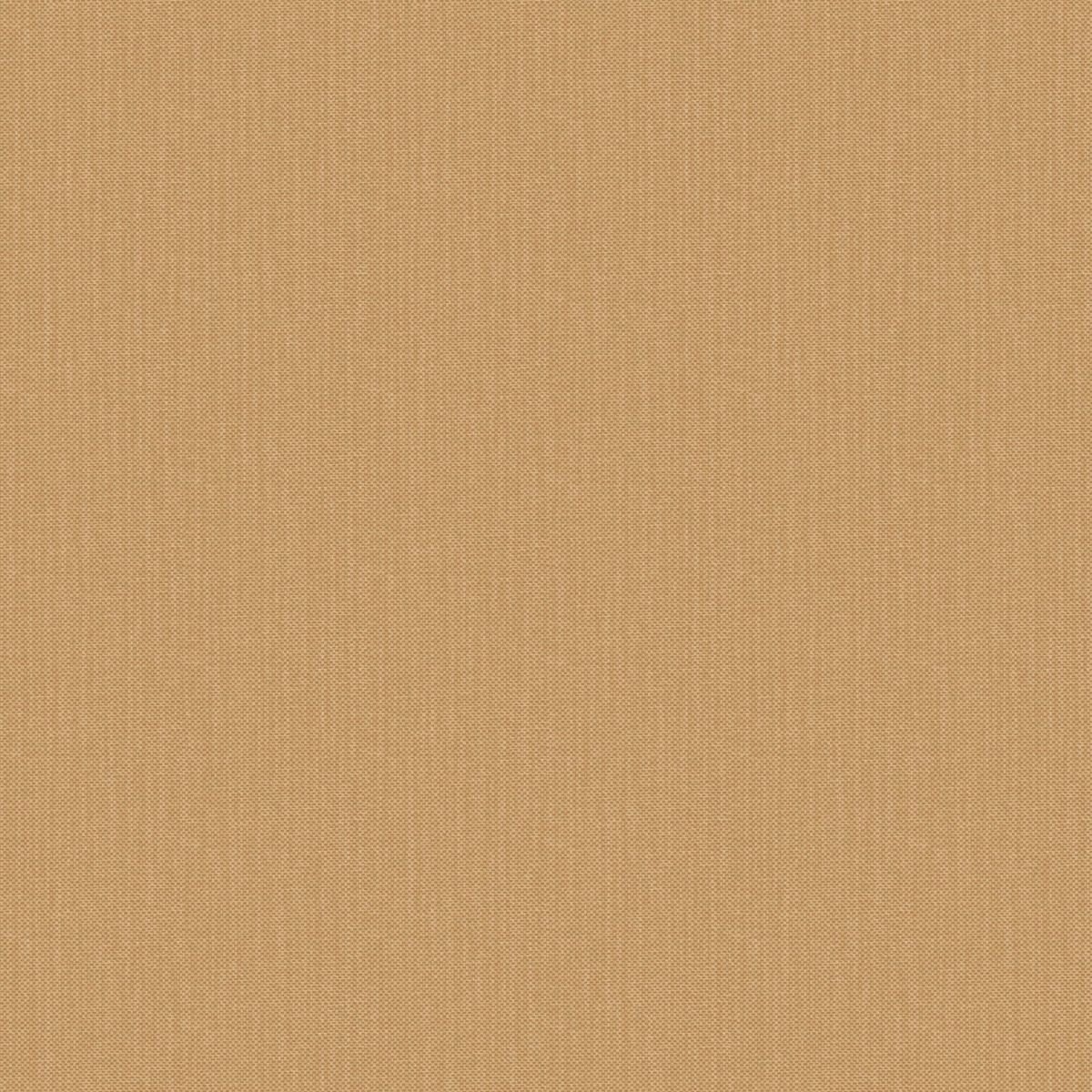 Natte 2 — Camel