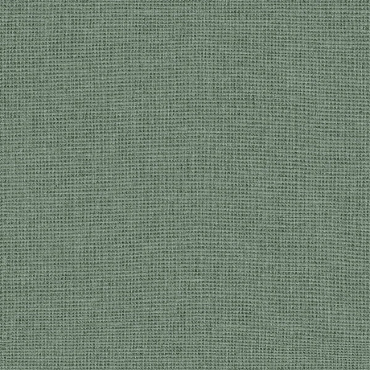 Jute — Eucalyptus