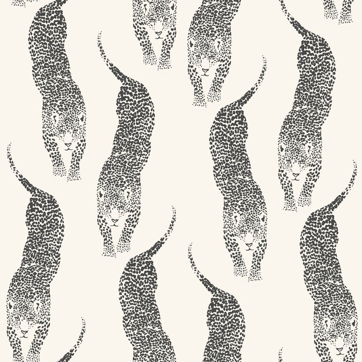Wild — Dove