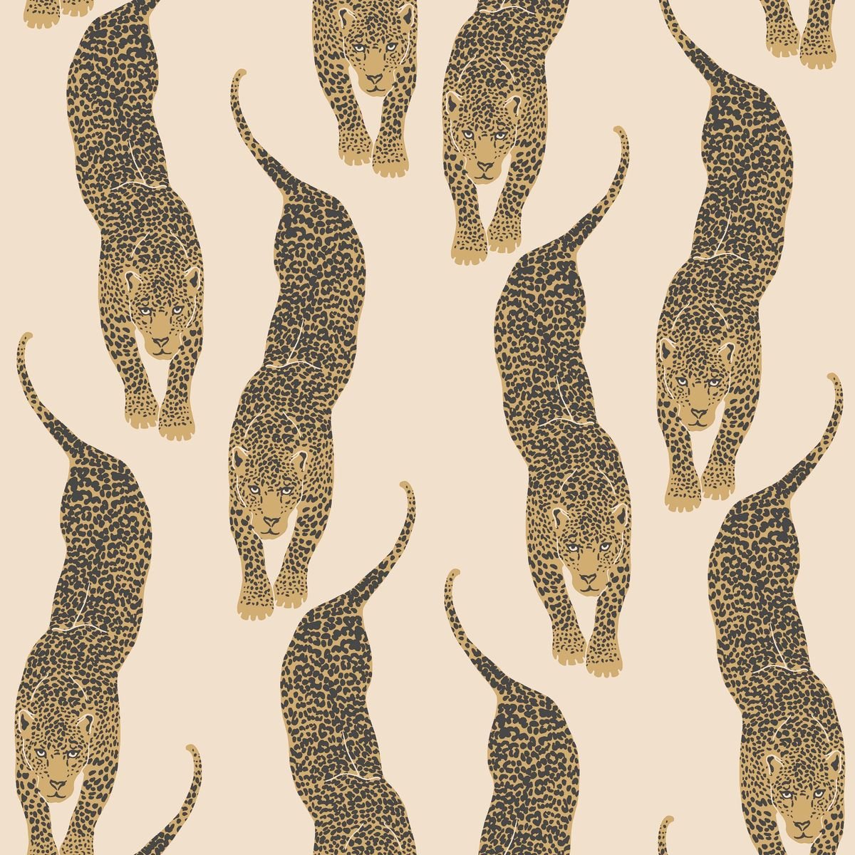 Wild — Beige