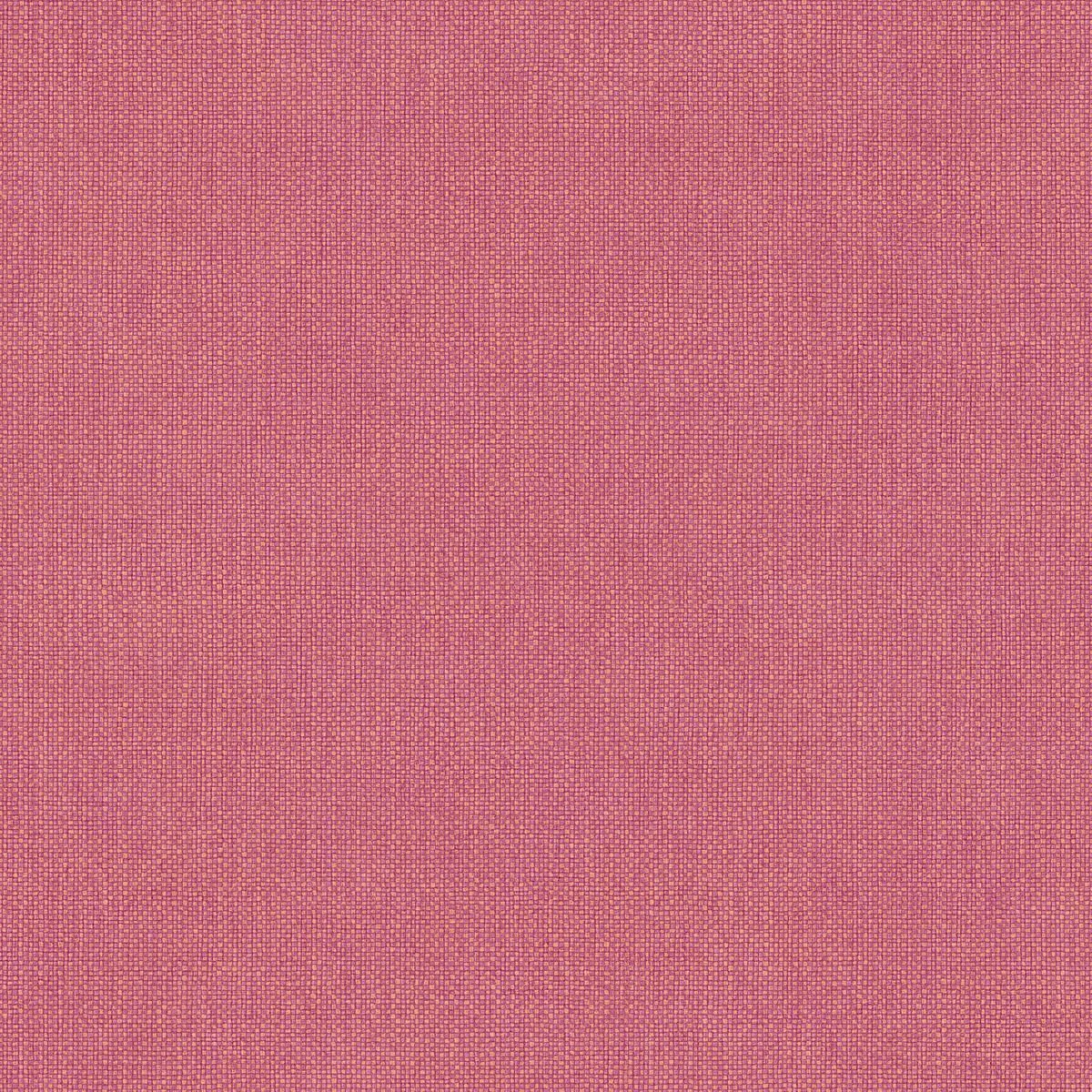 Damier — Coral