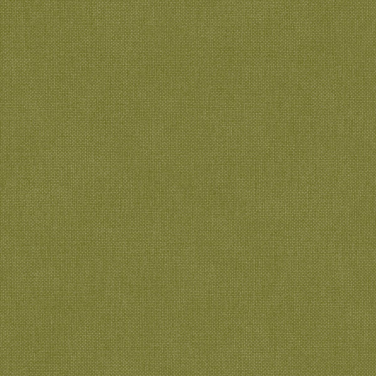 Damier — Olive