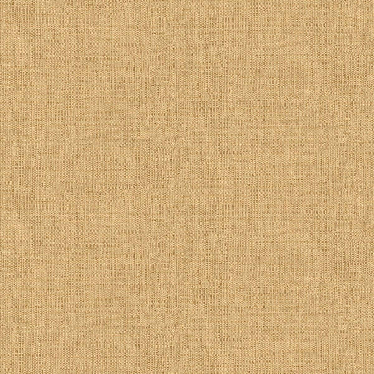 Matieres — Camel