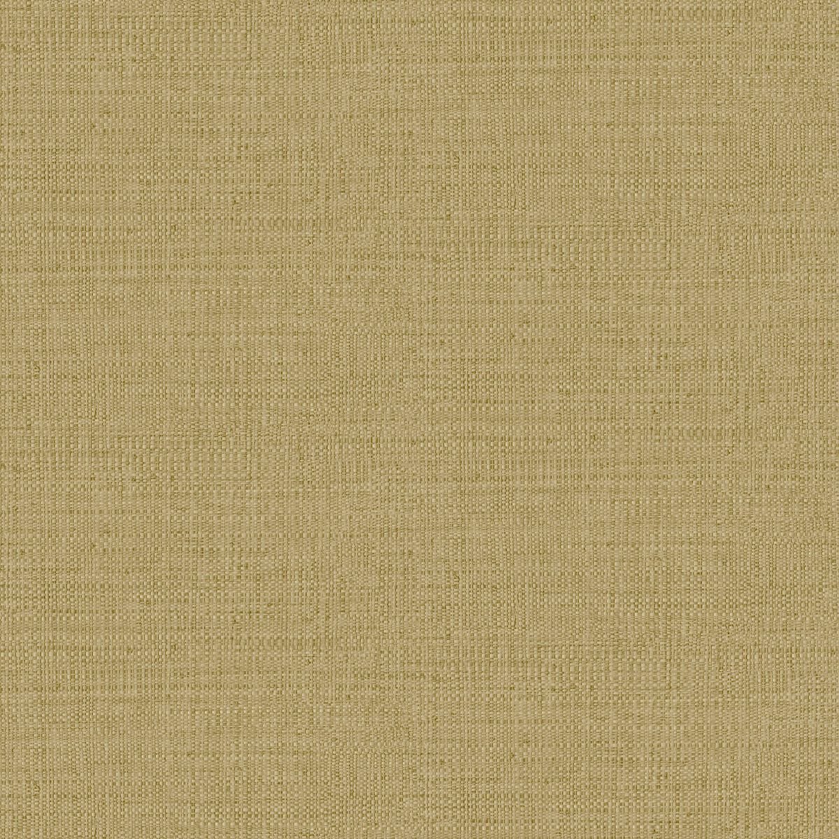 Matieres — Camel