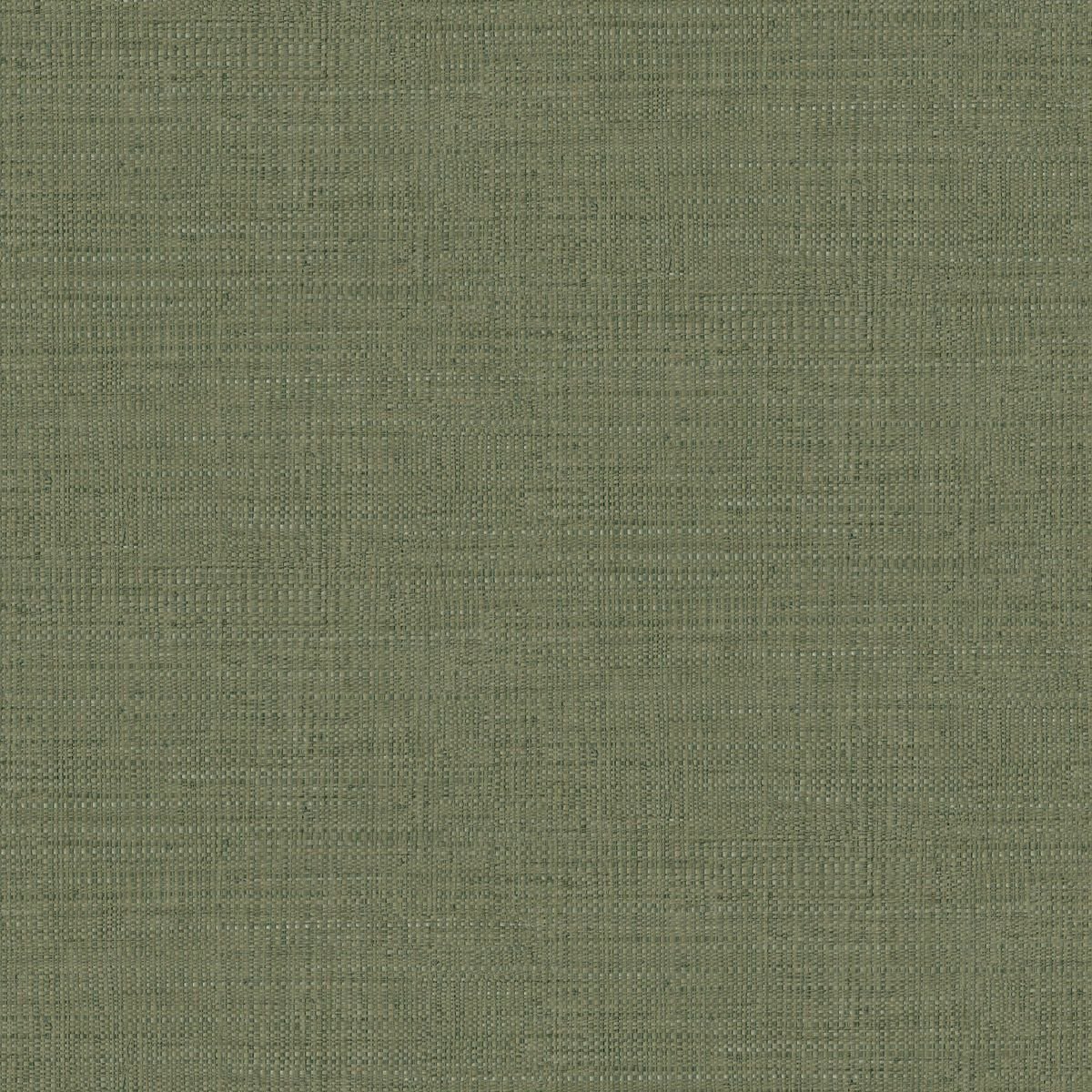 Matieres — Olive