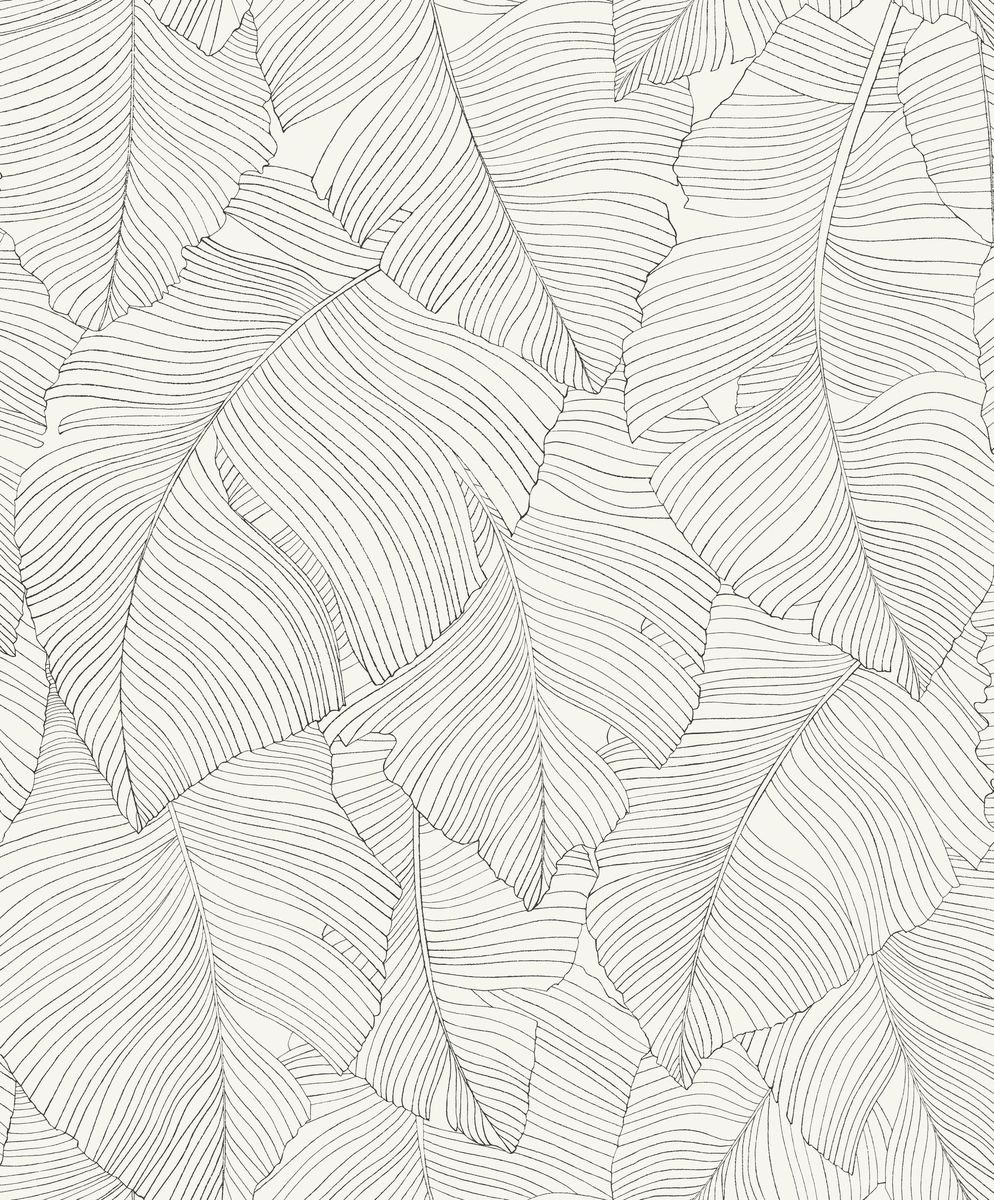Moonlight 3 — Linen