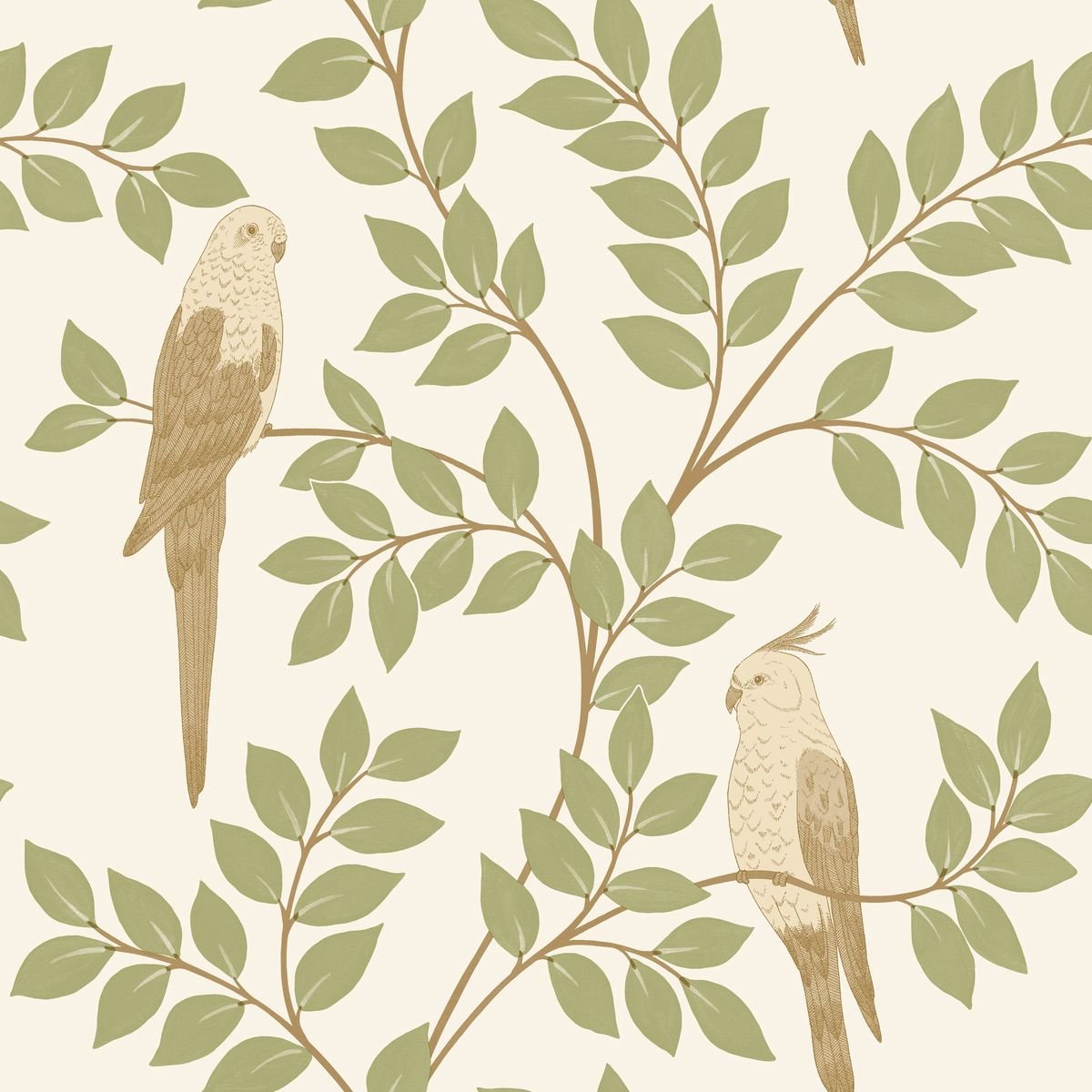 Borneo — Oatmeal