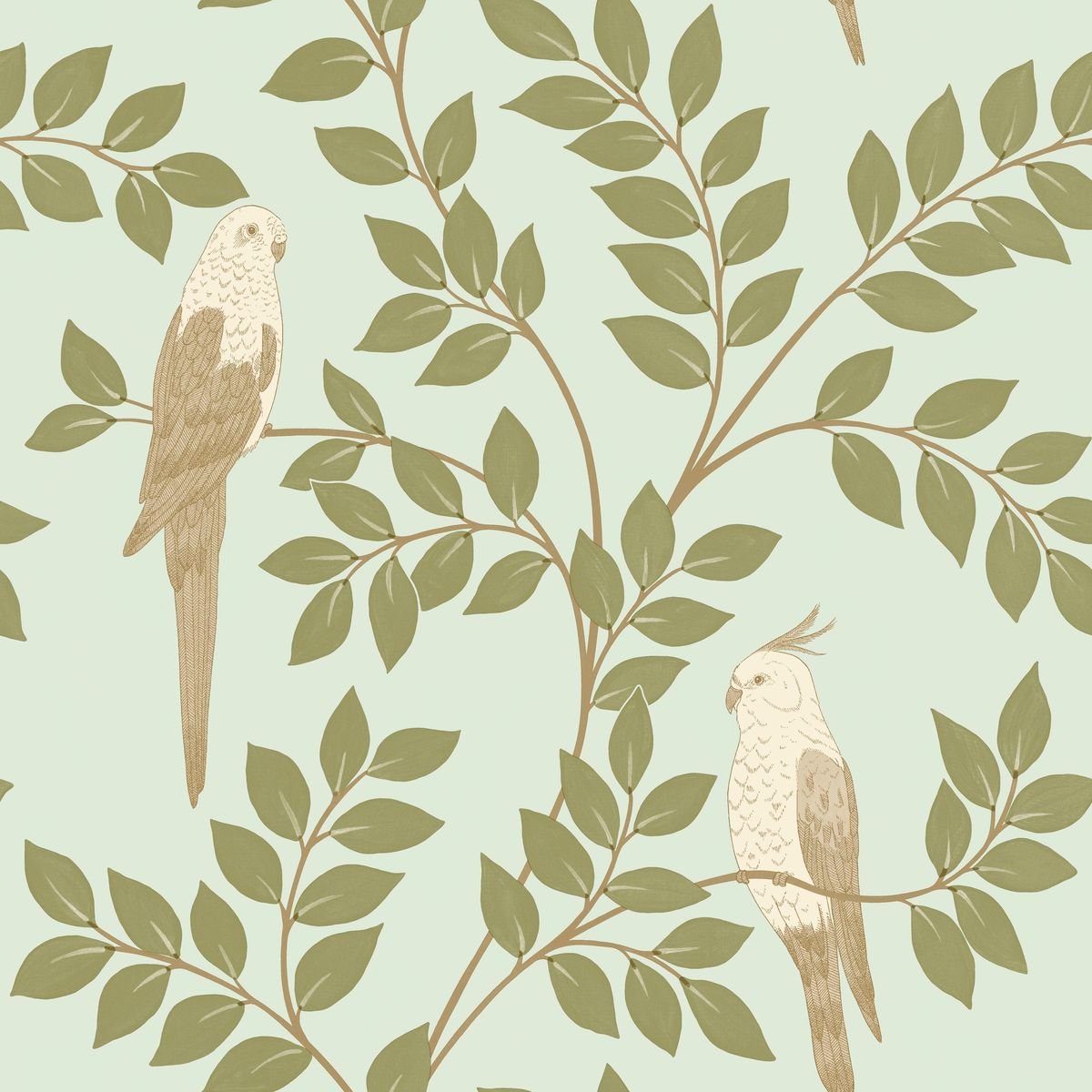 Borneo — Mint