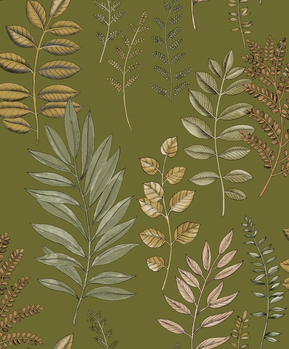 Art Of Botany — Olive