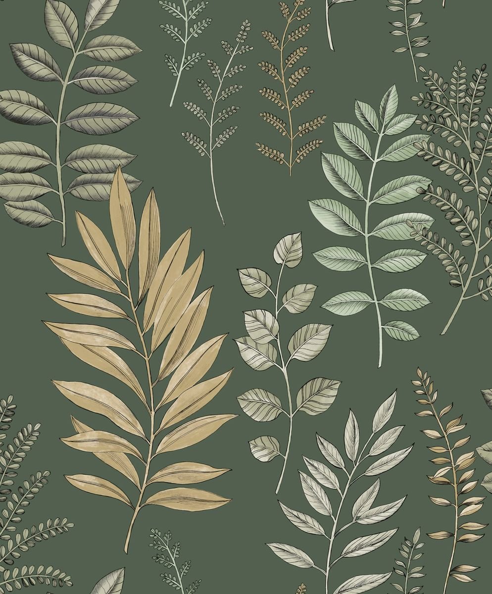 Art Of Botany — Olive