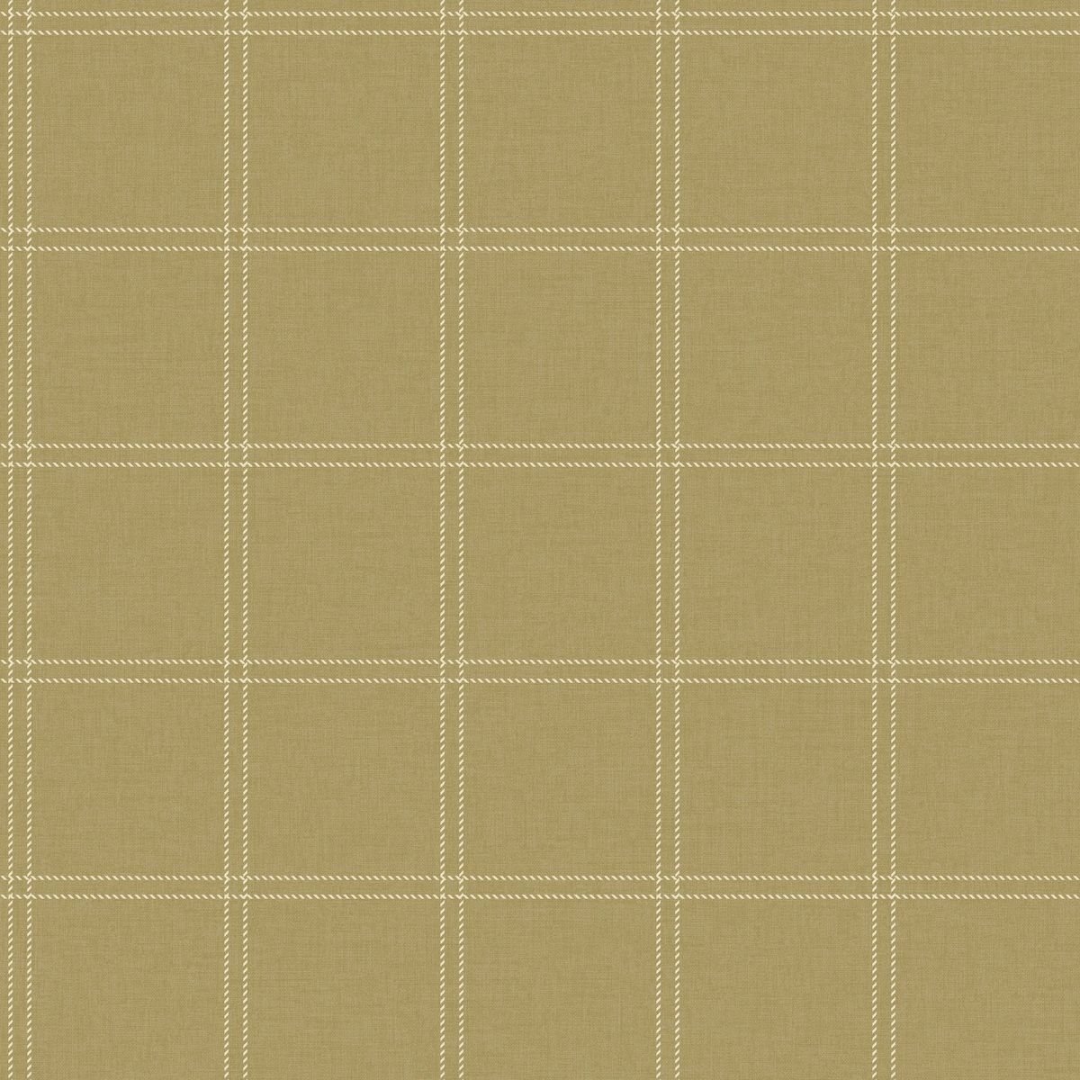 Line Up — Camel