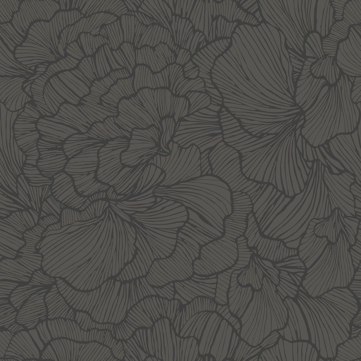 Moonlight 3 — Graphite