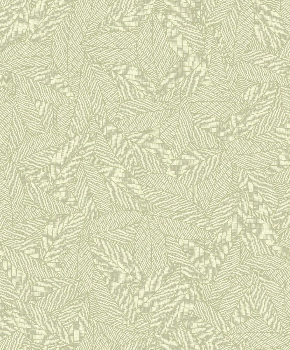 Elea — Oatmeal